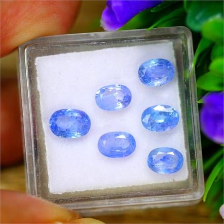 4.32ct Natural Ceylon Blue Sapphire Oval Cut Lot - (Appraisal - $6,480)
