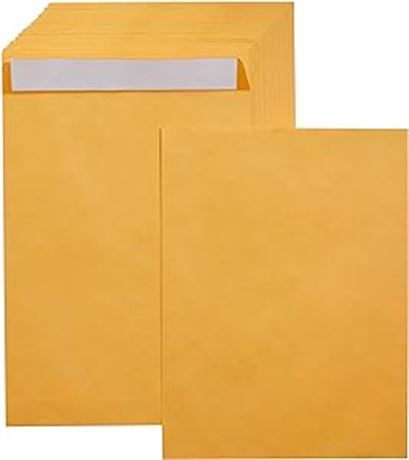 9x12 Inch Basics Catalog Mailing Envelopes, Peel & Seal, Brown Kraft, 100-Pack