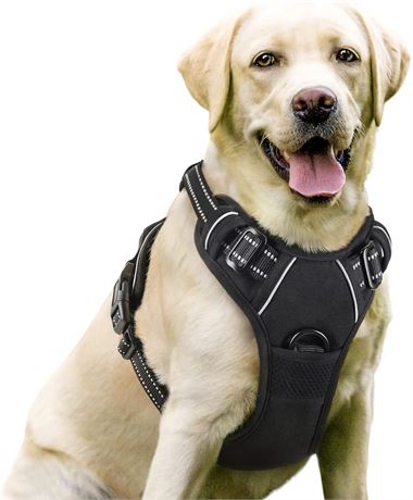 LRG - rabbitgoo Dog Harness, No-Pull Pet Harness with 2 Leash Clips, Adjustable