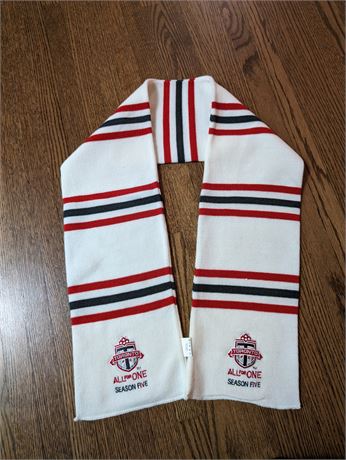 Toronto FC Season 5 Scarf supporters section