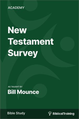 New Testament Survey: Its Structure, Content, and Theology Paperback