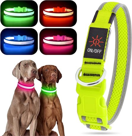 Medium YFbrite Light up Dog Collar, Rechargeable LED Dog Collar