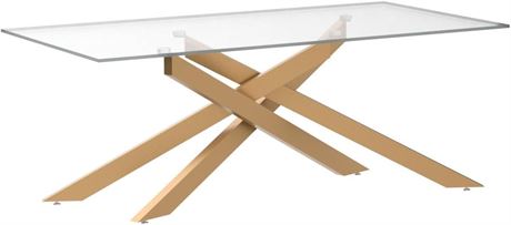 Rectangle Modern Coffee Table, Tempered Glass Top and Metal Tubular Leg