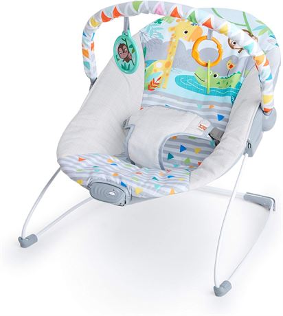 Bright Starts Baby Bouncer Soothing Vibrations Infant Seat - Removable -Toy Bar