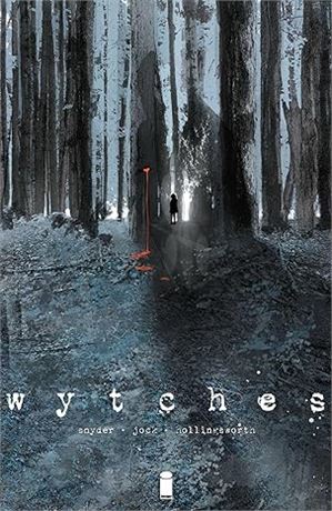 Wytches Volume 1 Paperback – Illustrated, by Scott Snyder (Author)